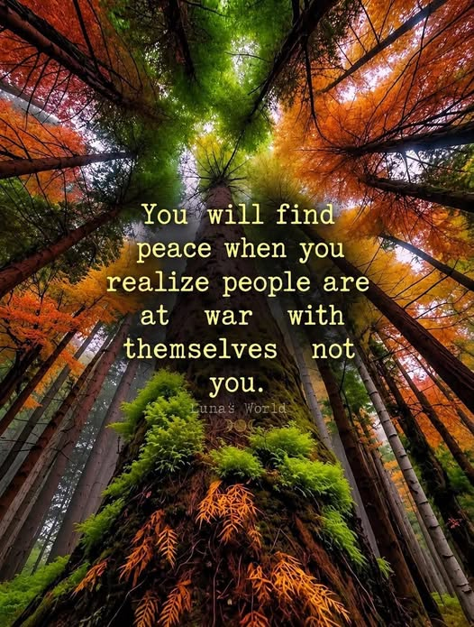 TrainingMindful's tweet photo. https://t.co/22YTgEWxUE