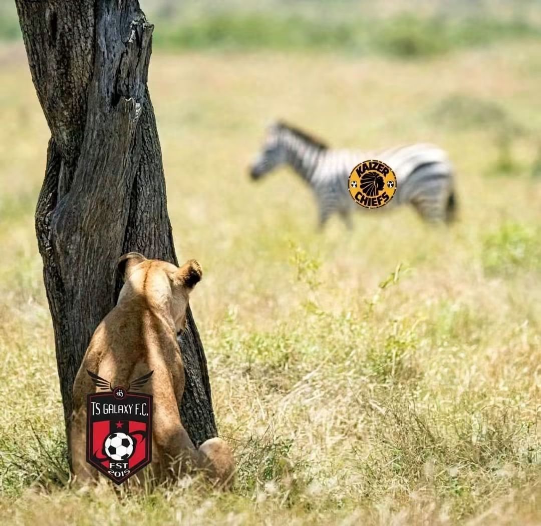 TSGALAXYFC's tweet photo. 📍😿sekuyalunga..
19:00
🏟️ FNB
Carling Black Label Today 🔥🔥 https://t.co/BPd6ngdC1o