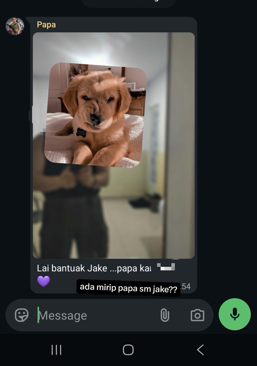 bundJakeSim's tweet photo. ㅋㅋㅋㅋ so tired today but my dad makes my day 😭🤏🤏🤏

👨 udh mirip jake blm nih papa
*bikin sw papa kebelet mirip jd jake*
🧕💬 biar ttp dia jd idola anaknya, takut digantiin sama "jake" 

😭😭😭😭 mood bgt, capenya lgsg ilang 🥹🫂 jakeee liat nih papa takut kalah saing ㅋㅋ https://t.co/9FG2lQnFAf