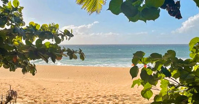 tropicalitytrvl's tweet photo. Pic of the Night...Peek-a-Boo 🌤️🌴🌊 
https://t.co/fTapSTlmhp 
#beachday #beachlife #beach https://t.co/5FSsECaMD1