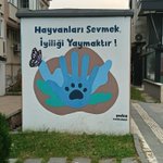 Photo by Adem Ertürk (@ulkumavi)