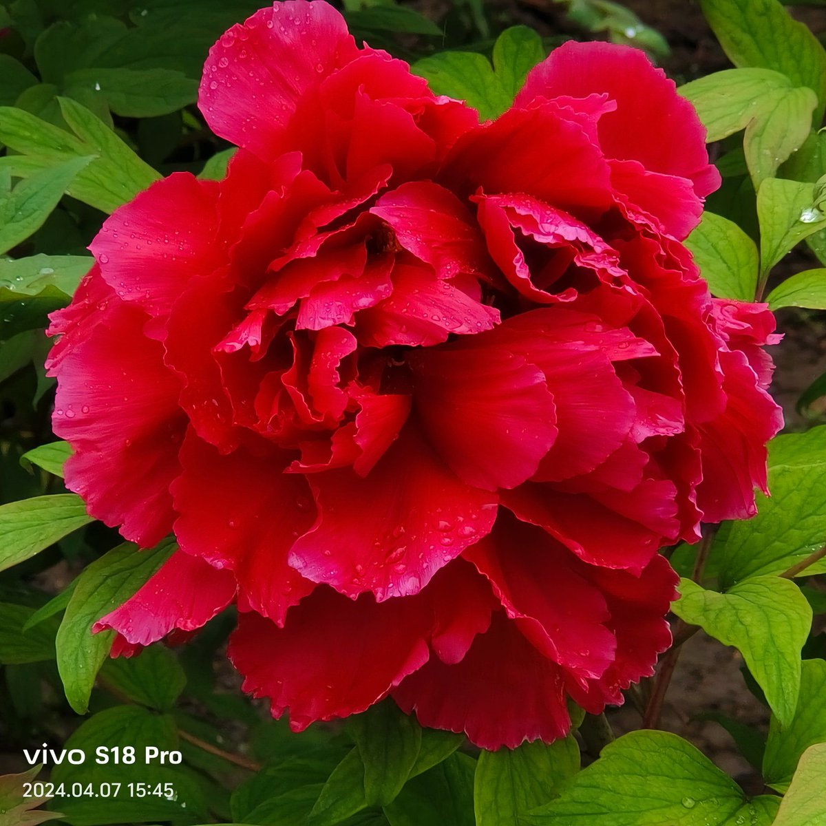 tsyfw8's tweet photo. [ビルの斗組に輝く牡の花、秋の幕開け告げる一瞬] https://t.co/CXqOuQ6jnE