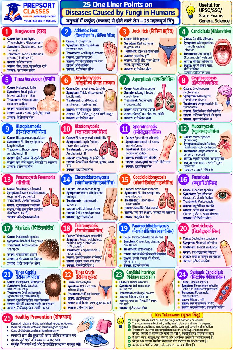 SachinMudg56786's tweet photo. 👉//Diseases of Fungi in Human Q/A &amp; MCQ//

-Science- 🧵📌

 #ScienceFacts #ScienceFiction #UPSC #bpsc #uppcs #rpsc  #SSC #ssccgl #APPSC #CGPSC #AppscJobNotification #mppsc #ukpsc #APSC #APPSC #OPSC #KPSC #GPSC #JPSC  #TPSC #TNPSC #tspsc #upssscwaitinglist #UPSSSC #upssscpet https://t.co/9qZfRhYJyV