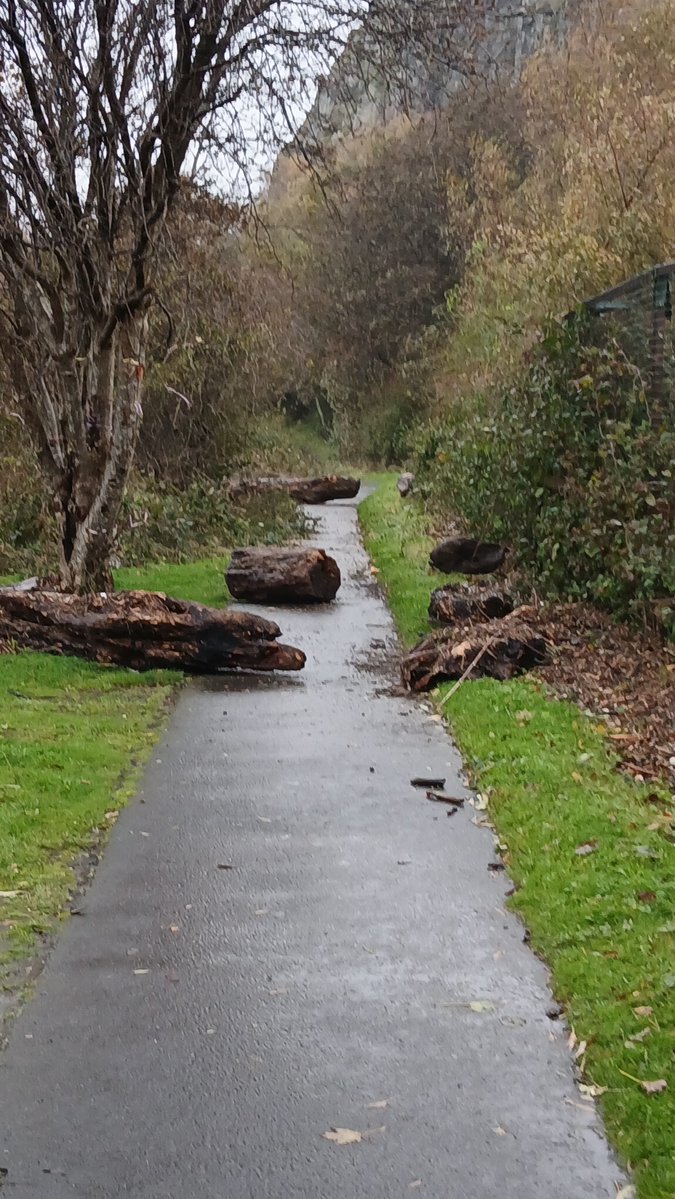 AlistairFergu11's tweet photo. 4 bags cleared off east shore. Logs on footpath and debris washed right up to fence line. Gruggies bridge damaged too. #litterpicking #litterfree #ReportingLitter #keepbritaintidy #LeaveNoTrace #KeepScotlandtidy
#SpringCleanScotland
#WDCouncil #bigclydecleanup #greentangerine https://t.co/Gs79nDsp4I