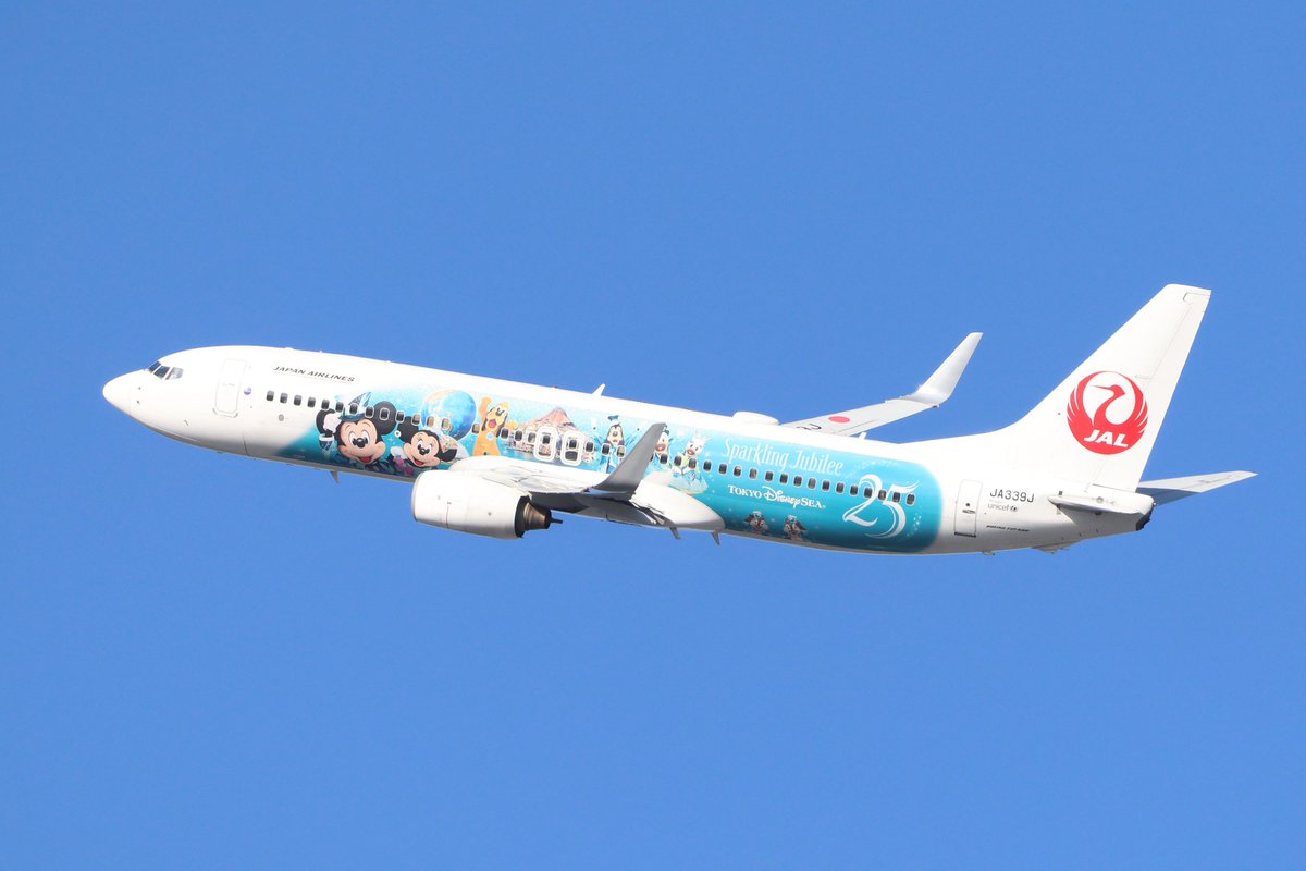 chipmunk114's tweet photo. JAL Jubilee Express
JALのB737-800　JA339J

やや後追い気味なのが気になるものの、特別塗装がハッキリ写っていて、比較的良いと思う一枚

#ディズニー #ディズニーシー #JAL #B737 #JA339J #伊丹空港 https://t.co/UkB2AZJdwI