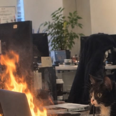 Office_Worker0's tweet photo. 지금 이상태임 불타오르는데 걍 구경하고 있음 https://t.co/7O1nGIOyt2