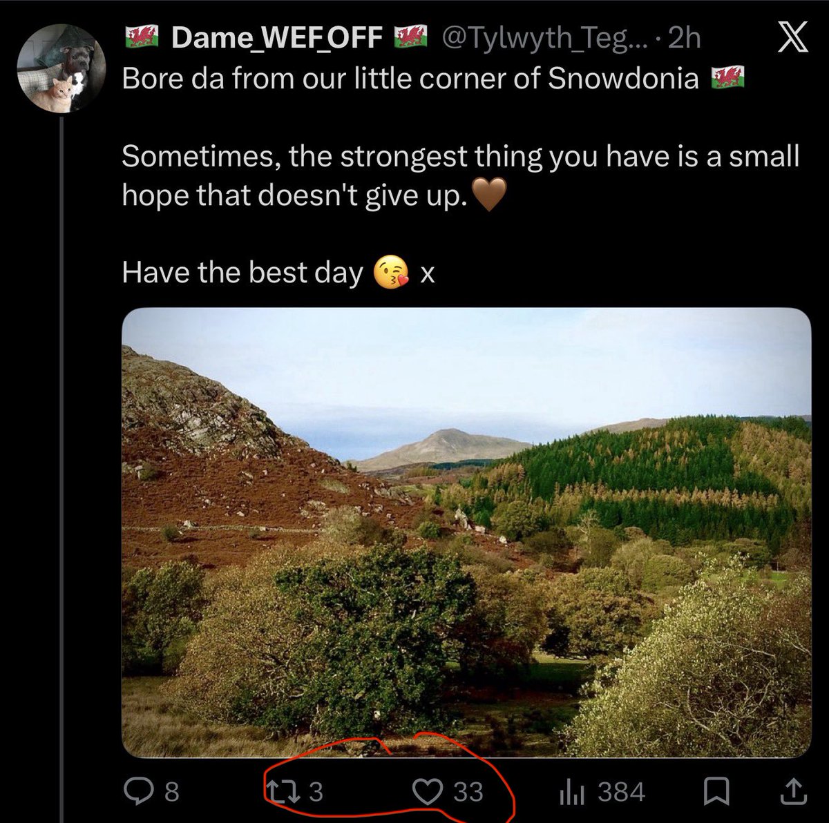 MiloWKB's tweet photo. @Tylwyth_Teg1897 Bora da Dame 🌳🐾
Have a lovely day 🤍💫🕯️

The number 333 would confirm your tweet

The number 333 is widely known as an angel number in numerology and popular culture, symbolizing creativity, growth, communication, and mind-body-spirit balance. https://t.co/6qVDu0azro