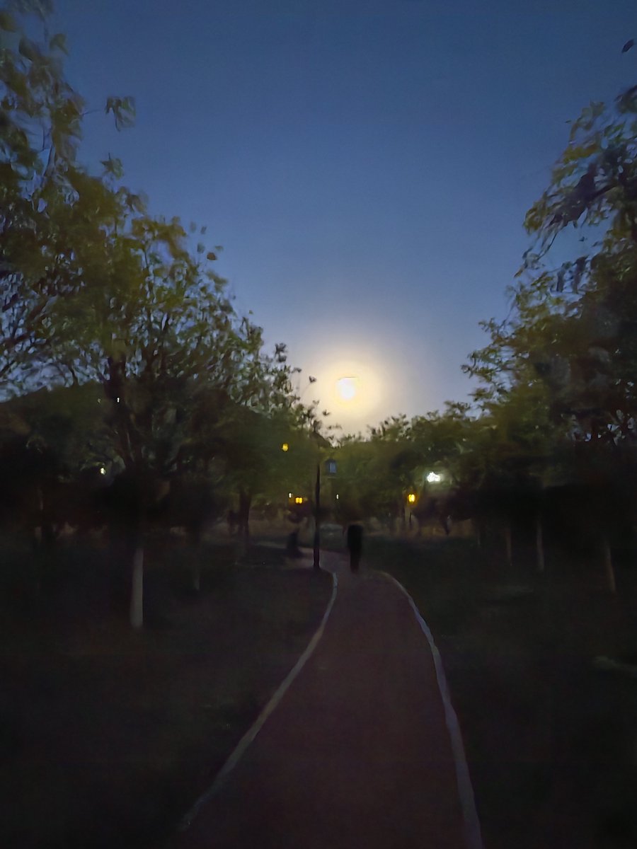 Ryo11290713's tweet photo. 「夕暮れの小路を徊り、薄手の衫が風に绰となびく。」， https://t.co/NSGEOETVbn
