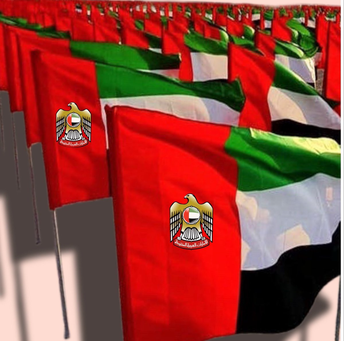 _dar_zayed's tweet photo. محمد بن راشد: حفظه الله ورعاه سدد خطاه
• نحتفي الأسبوع المقبل،في الثالث من نوفمبر، بلحظة وطنية مهمة تجسد محبتناوفخرناوولاءنا لوطننا.نحتفي بيوم العلم.
•ندعوالجميع،مواطنين ومقيمين، مؤسسات ووزارات،مدارس وجامعات، بيوتاًفي كافة الإمارات،لرفعه عالياً شامخاًعزيزاًخفاقاًفي سماءبلادنا🇦🇪 https://t.co/AIHkgTQvJL