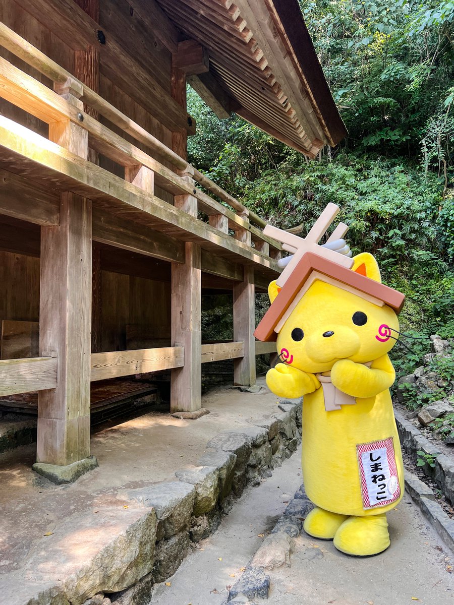 shimanekko_'s tweet photo. 出雲大社へ行く前に「稲佐の浜」で
砂をもらう参拝方法があるって知ってたかにゃ？(^ω^)ﾉ
浜の砂を「素鵞社（そがのやしろ）」にある砂と
交換してもらえるそうにゃ✨

#稲佐の浜 #出雲大社 https://t.co/rsl7jUmBFe