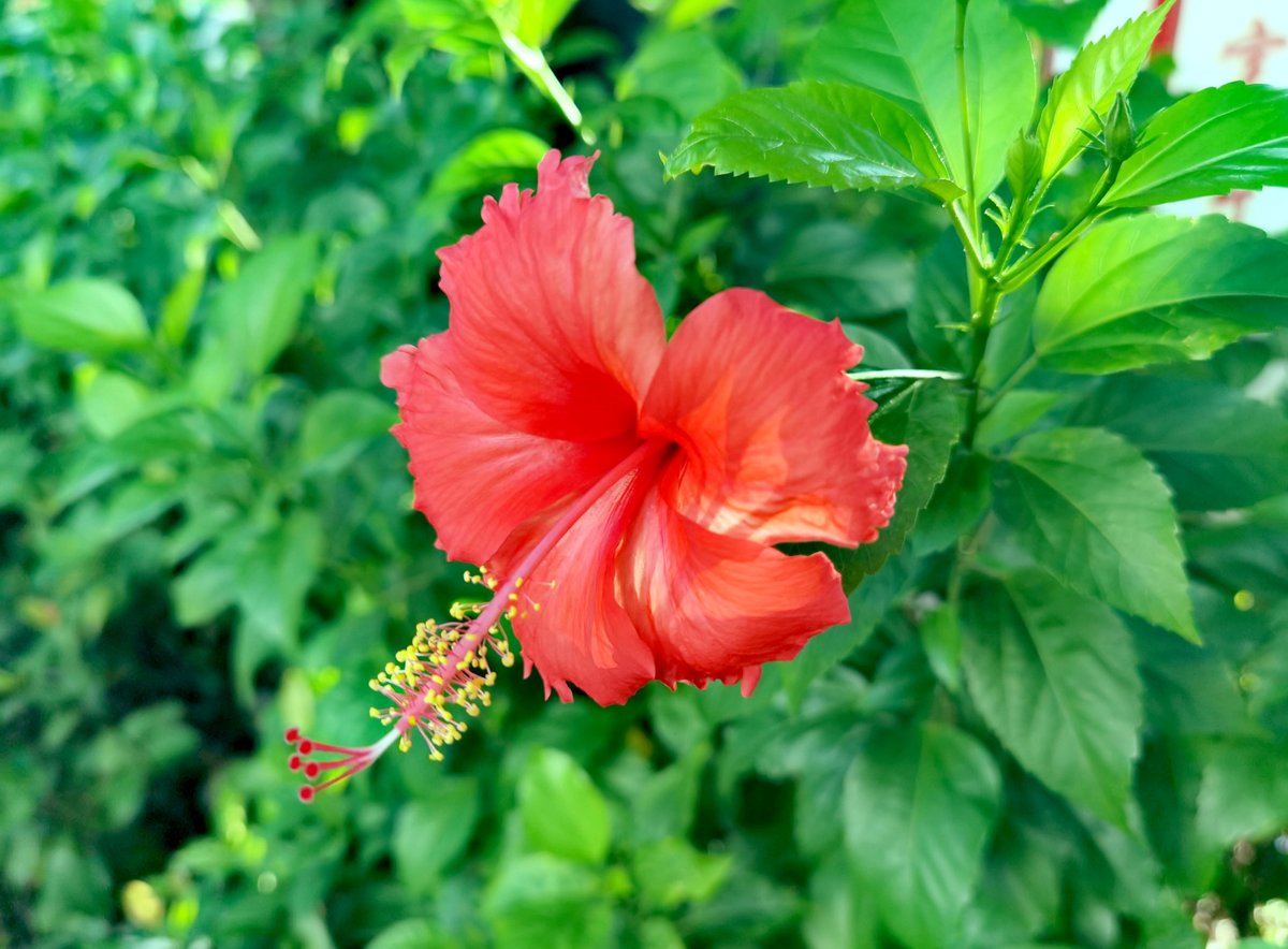 7hdlr2zyhPoyFah's tweet photo. [掌斩蔷] の花びらが舞う春、心に鋭い一閃が走る https://t.co/WkaanB7tyy