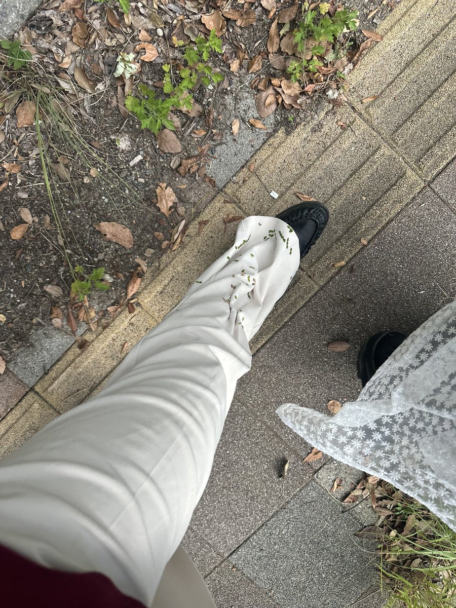 Kanoeranasuki's tweet photo. あやちゃんとは4ヶ月ぶり、ポンとは3年半以上ぶりに出会えた😭
会う度に大人になっていくけど、よく会う友達みたいで久しぶりな感じがしないんだよなぁ🫧
3人で行くライブは初めてでライブの後の観光もめちゃくちゃ楽しかった🥲
わんぱくな私を優しく見守り許してくれるそんな2人が大好き🫶 https://t.co/FNJxmPIFXe