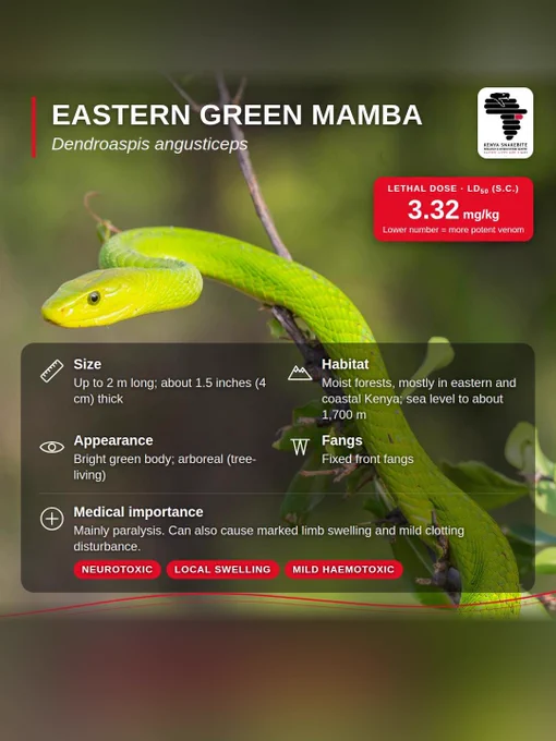 Image from Kenya Snakebite Research and Intervention Centre (@K_SRIC)