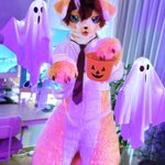 Photo by Dog (@SNACK_suit)