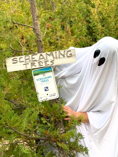 OtonabeeC's tweet photo. Bee the Otonabee Ghost was checking our Harold Town Conservation Area. Bee had the chance to bike around the trails and particularly loved the Screaming Trees trail. Where would you recommend Bee visit next? 👻🎃🍁
 #HaroldTownConservation #OtonabeeGhost #ExploreOutdoors https://t.co/MJvy6npOQj