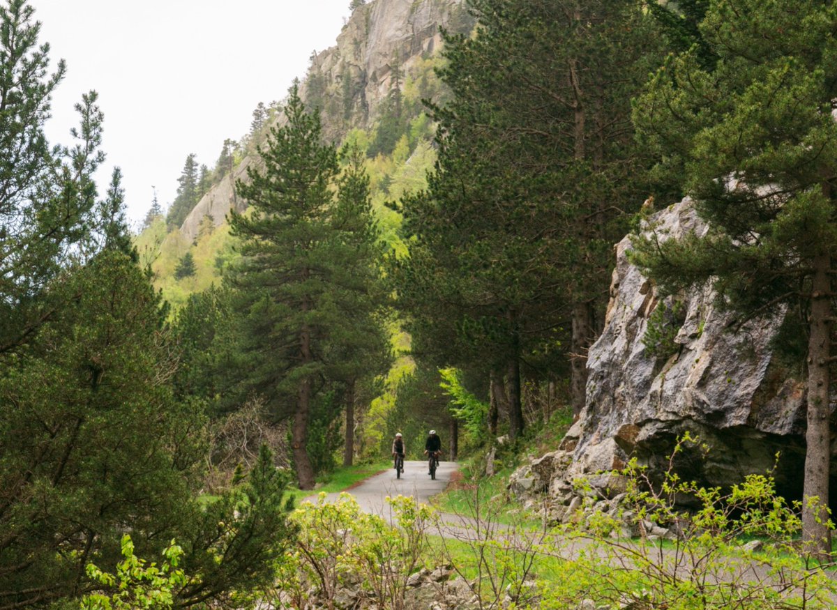 aralleida's tweet photo. Gravel i un territori ple de possibilitats 🚴‍♂️ Recorre camins, pistes i carreteres secundàries mentre descobreixes paisatges espectaculars! 👌

El Pirineu i les Terres de Lleida ofereixen una gran diversitat de recorreguts per gaudir del #cicloturisme i explorar el territori sobre dues rodes. T’hi apuntes? 🤗

ℹ️ https://t.co/wwSc9qve9a

#AraLleida #BiosphereGoldDestination 🌱 #AmbTotaNaturalitat 🌿 #CicloturismeADNLleida 💚🌍