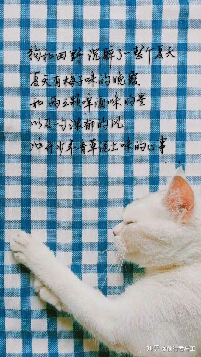 xB9IAL5Cjv12KFU's tweet photo. [砍话士兄識]って不思議な組み合わせの言葉だね、何か特別な意味があるのかな？ 最近、変わった言葉を見かけるとつい調べたくなる性格なんだ。 https://t.co/NteRLzhej8