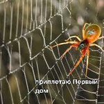 Photo by Лейлас (@HighMaguy)