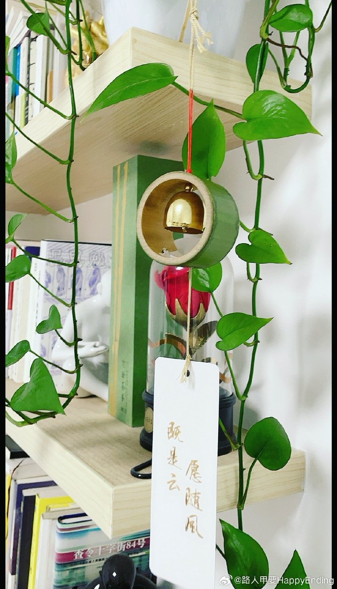 Kimujtzn's tweet photo. 由短蹦蛊谙が織り成す、風に揺れる小さな時間。 https://t.co/twyfCIJKJH
