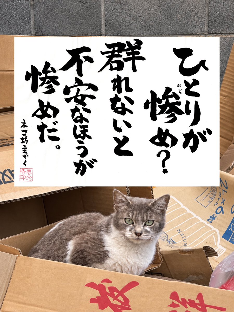 yabumoto610's tweet photo. ネコさんから人間さんへ今日の一言 https://t.co/xZQHkLJVqG