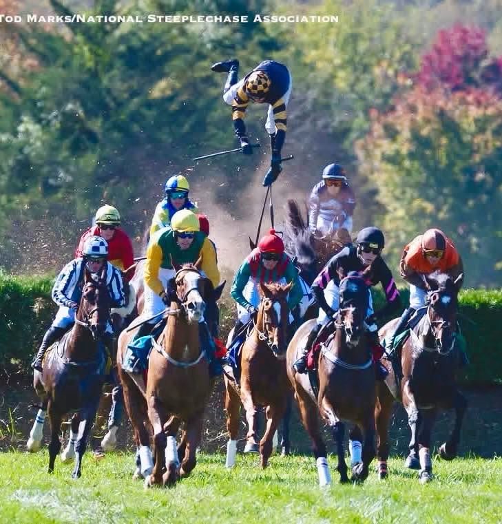 gerryd84's tweet photo. One jockey, 3 different angles from 3 different photographers 

Jump racing isn’t for the weak hearted 😅

📸 Todd marks, Tammie J Monaco, middleburg photo https://t.co/CKUWmrbuuj