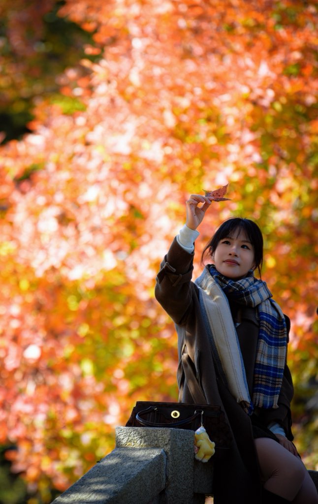 VisitSuzhou's tweet photo. 🍁 Chasing Autumn Colors at Tianping Mountain, Suzhou
If you’re planning a fall trip to Suzhou, mark your calendar for mid-November to early December — the best time to see Tianping Mountain dressed in its famous autumn colors.
From fiery red and deep purple to golden yellow and green, the mountain transforms into a spectacular tapestry of color, with centuries-old maple trees set against the elegant scenery of Jiangnan gardens.
📸 Don’t miss these photo spots:
🍁 Wangfeng Terrace — Take in panoramic views of the colorful maple forest.
🍁 Baiyun Pond — Capture the vibrant foliage reflected in the still water.
🍁 Shijing Pond — Find autumn leaves, lotus remnants and a charming old bridge.
🍁 Ancient Maple Forest — Wander among centuries-old Chinese sweetgum trees.
✨ Tips for your visit
📅 Best time: Mid-November to early December
🚶 Visit on a weekday to avoid the biggest crowds.
🌅 Arrive early for a quieter experience and beautiful morning light.
📱 Check official Suzhou Garden updates for the latest foliage reports before heading out.
Autumn in Suzhou won’t last forever. Save this guide and plan your maple-leaf adventure! 🍂
#VisitSuzhou #Suzhou #TianpingMountain #AutumnInChina #Shanghai