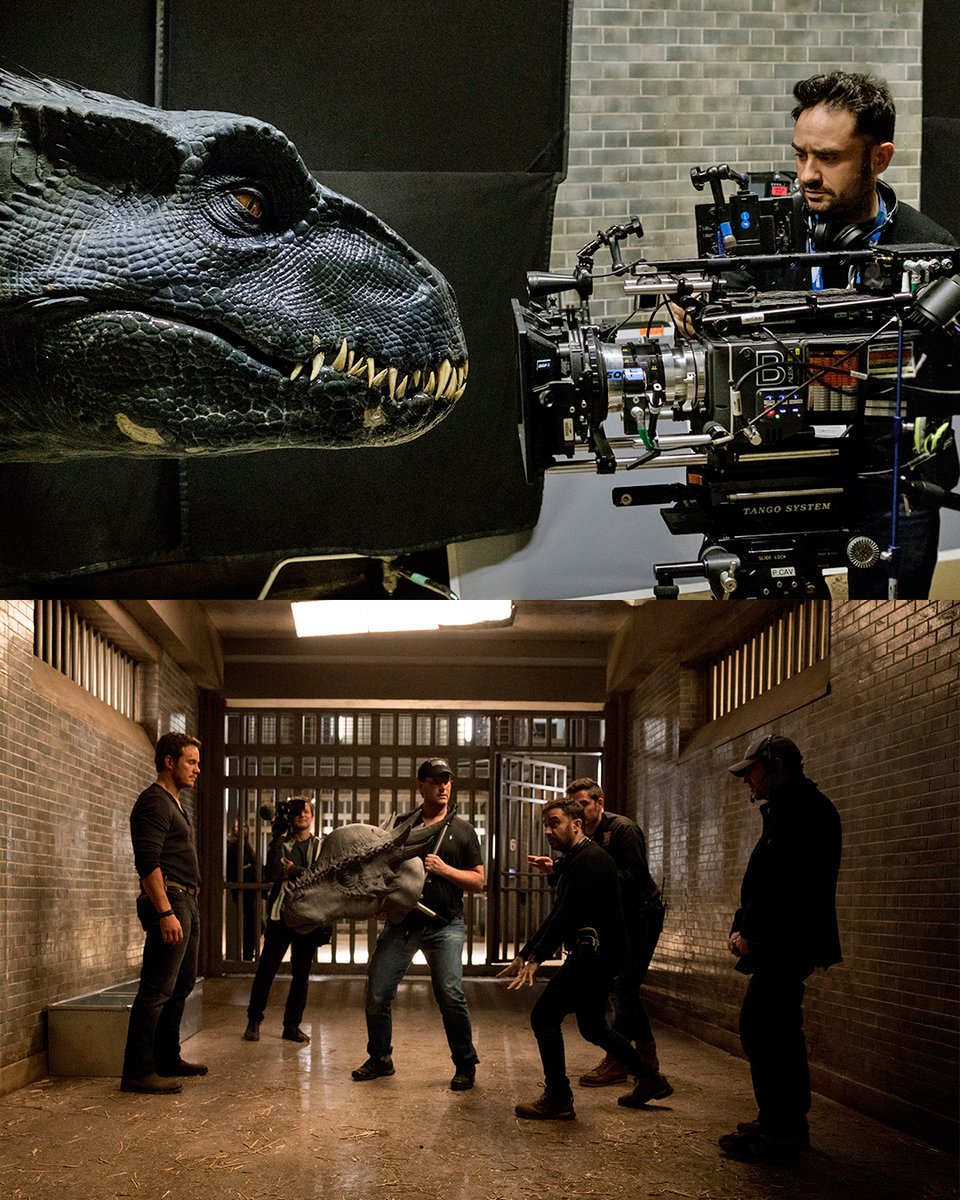 JurassicWorld's tweet photo. A little Halloween decor inspo from Jurassic World: Fallen Kingdom. https://t.co/iuiNl57OaR