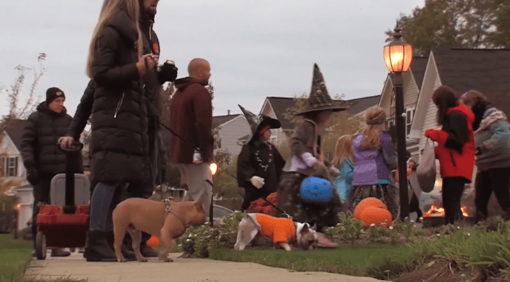 FOX56News's tweet photo. Nicholasville police are sharing Halloween safety reminders after a new study found more child pedestrians are killed on Halloween than on any other day of the year. | Link in bio https://t.co/AhL0HSY02T