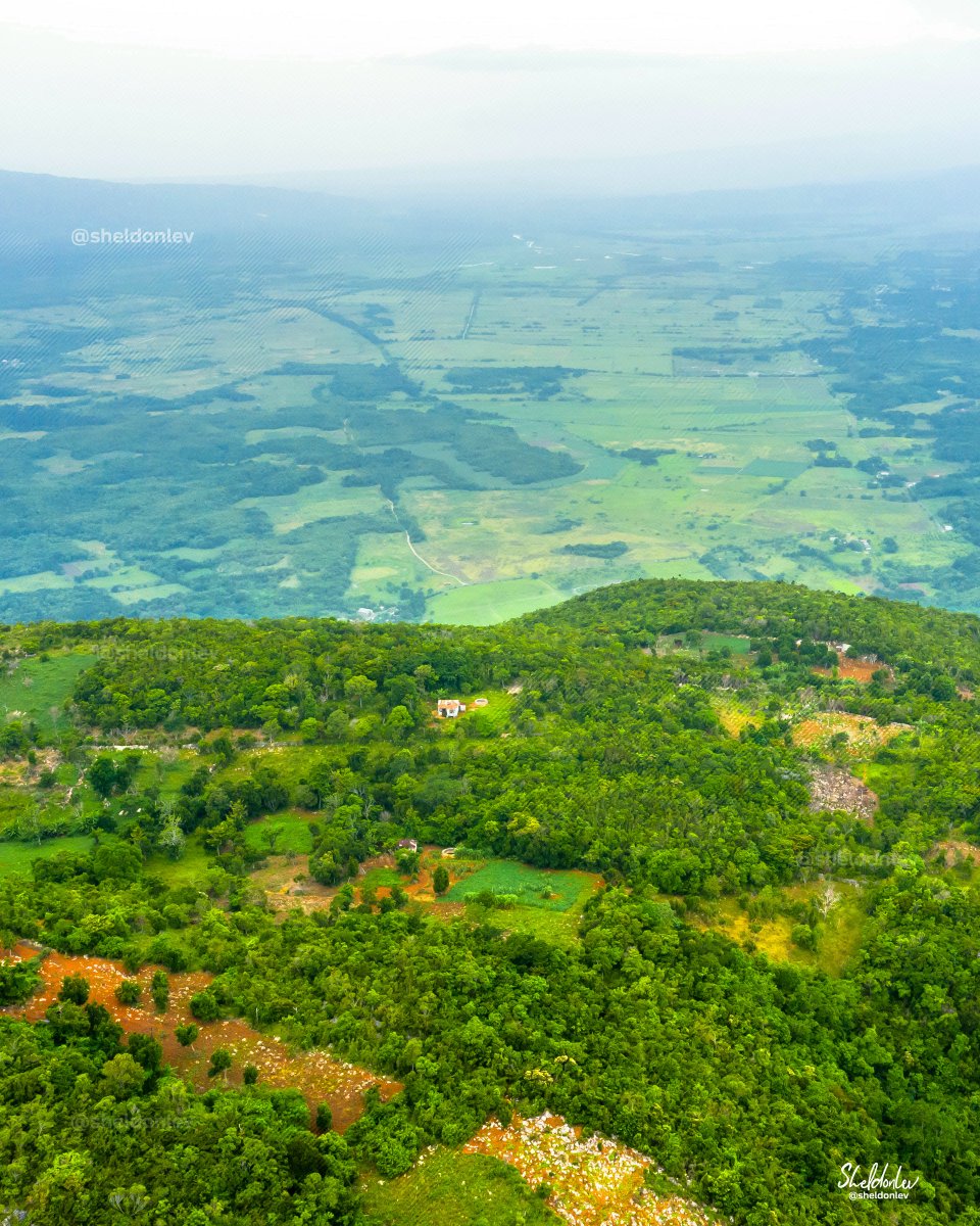 sheldonlev's tweet photo. On the mountainside of Manchester, overlooking the plains of Saint Elizabeth. https://t.co/vLOZbrNDlX