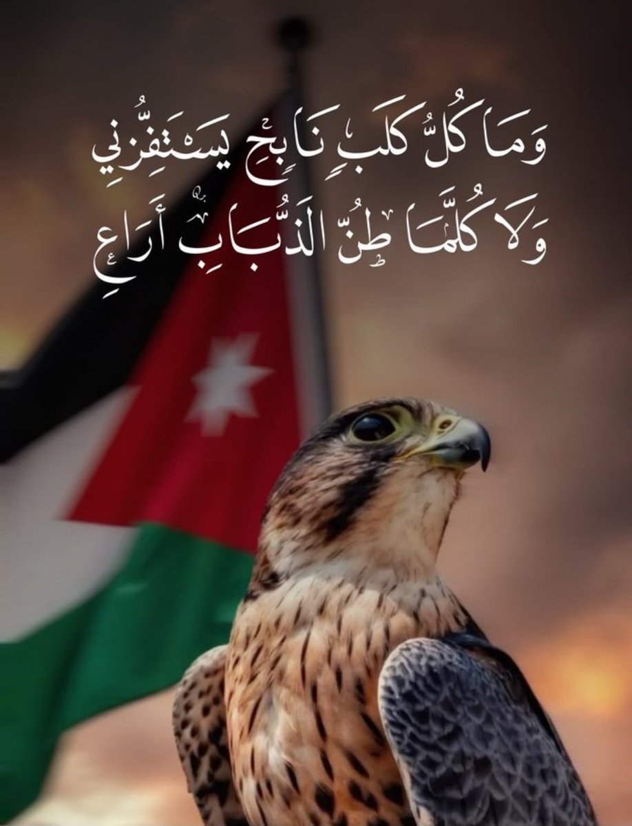 __e5e's tweet photo. وما كلُّ كلبٍ نابحٍ يستفزُّني  
ولا كلما طن الذباب أُراعُ 🇯🇴 https://t.co/v5beRx0xDg