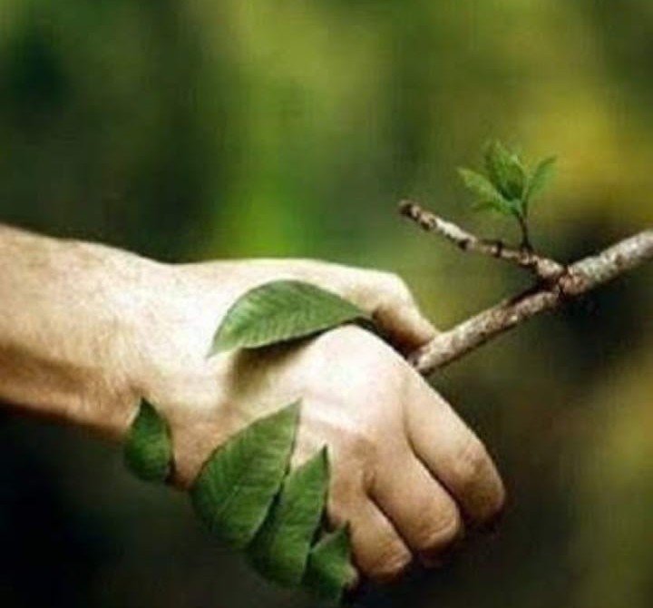 ReginaHelenaJa2's tweet photo. 🏢🌐🌍👑👑🤙🏼Good afternoon, but of course deforestation and fires are unacceptable crimes against our environmental mother, whose care follows her children, after all, it's our habitat 🥰
Quality of life is about being aware of respect and care 🧠🎺 https://t.co/vBFSlks1El