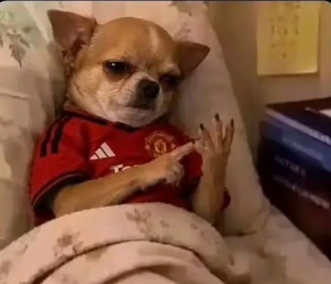 pappi__kheed's tweet photo. "If Manchester city lose their next 25 games and draw 5, and arsenal lose 24 and draw 6 , Man UTD can still win the league " https://t.co/tvgQYUZ3vk
