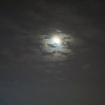 Photo by Mostafa Fathy (@_M789_)