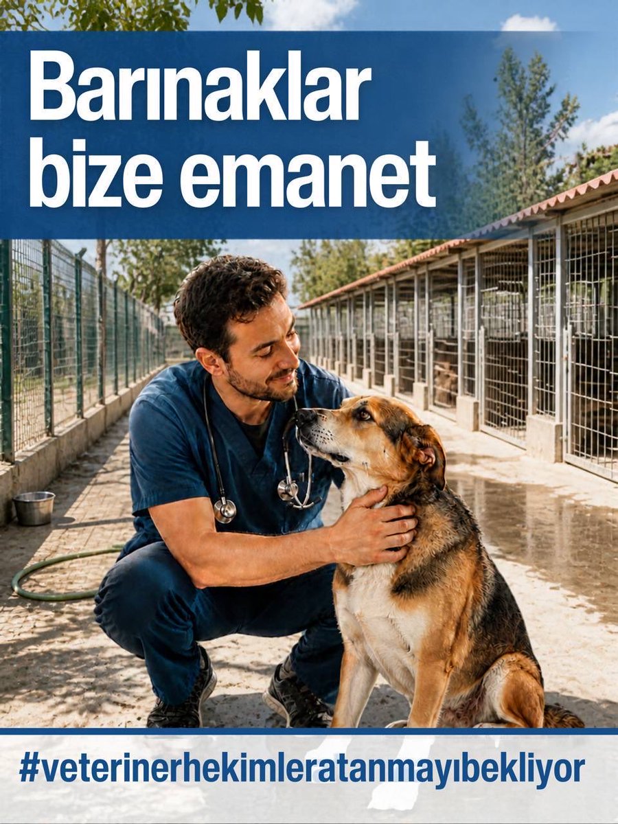 VetAlperen's tweet photo. Sokak hayvanlarının barınaklardaki sağlık taramaları, aşıları ve kısırlaştırma süreçleri için sahadaki veteriner hekim kadroları acilen güçlendirilmelidir. #veterinerhekimleratanmayıbekliyor https://t.co/w2OYJUUyNz
