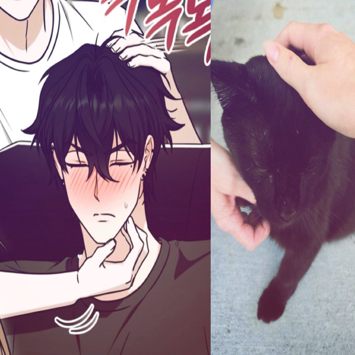 bunferry_'s tweet photo. I’m so happy abt the side stories, we are sooo back https://t.co/DDBbFtEJhZ