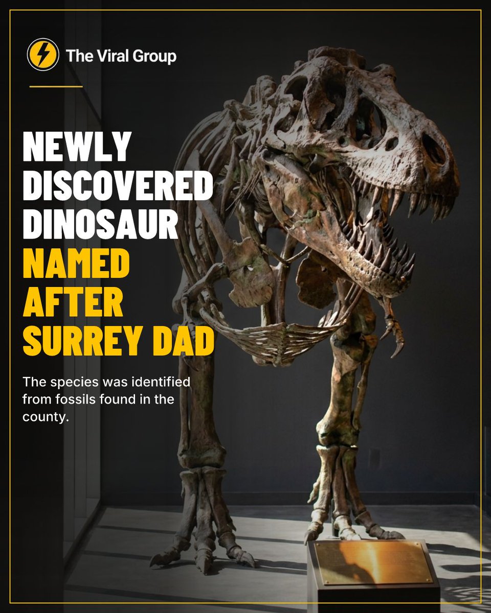 TheViralGroup's tweet photo. Local legend 🦕
#Dinosaur #Surrey #Fossil #Discovery https://t.co/YAB1K780yn