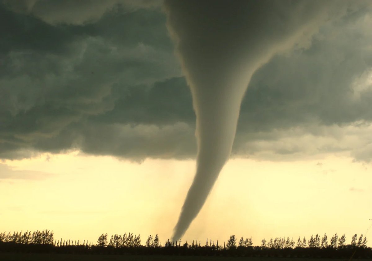 Alternativevt's tweet photo. Sabían que los Tornados y Trombas Marinas siempre han existido en Chile??

No es algo tan común como en EE.UU o incluso en nuestro vecino, Argentina (Donde los tornados si son bastante comunes, pero esto tampoco lo saben muchas personas😆 )

a modo de ejemplo:

Tenemos un caso histórico, el Tornado de Concepción de el año 1934, Dejo casi 600 heridos y 27 fallecidos, se reconoce que fue de categoría EF3 y es el tornado (Del que se tiene registro) que mas destrucción ha causado en Chile.

Mas recientemente, en el año 2019 tenemos tanto una Tromba Marina en Concepción, como un Tornado en los Ángeles los cuales también dejaron destrucción a su Paso. 

y podemos agregarle el Tornado EF0 Ocurrido el pasado 13 de Octubre en Estación central (Primer reporte de un tornado en Santiago desde 1893)
y ahora el tornado de Requínoa de el 26 de Octubre.

y hay muchísimos mas registrados en los últimos años, pero es mas que nada para que se hagan una idea que no es algo "imposible" 

No son el Fenómeno meteorológico mas Común en nuestro pais, pero de que pasan, pasan.