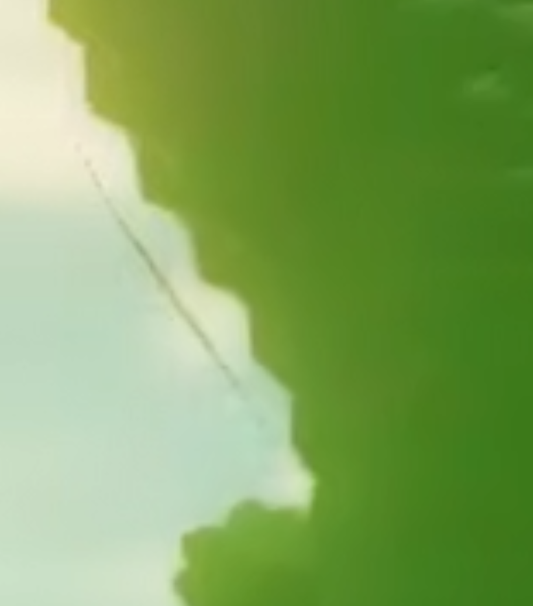 The_Rimea's tweet photo. For reference; the flower topiary thing has a tri count of roughly 90k, the same as a small Mario Kart 8 Deluxe track, and yet appears like this in-game. It was also implemented so carelessly that you can see floating edges due to back-face culling. https://t.co/ZhP76aYghF