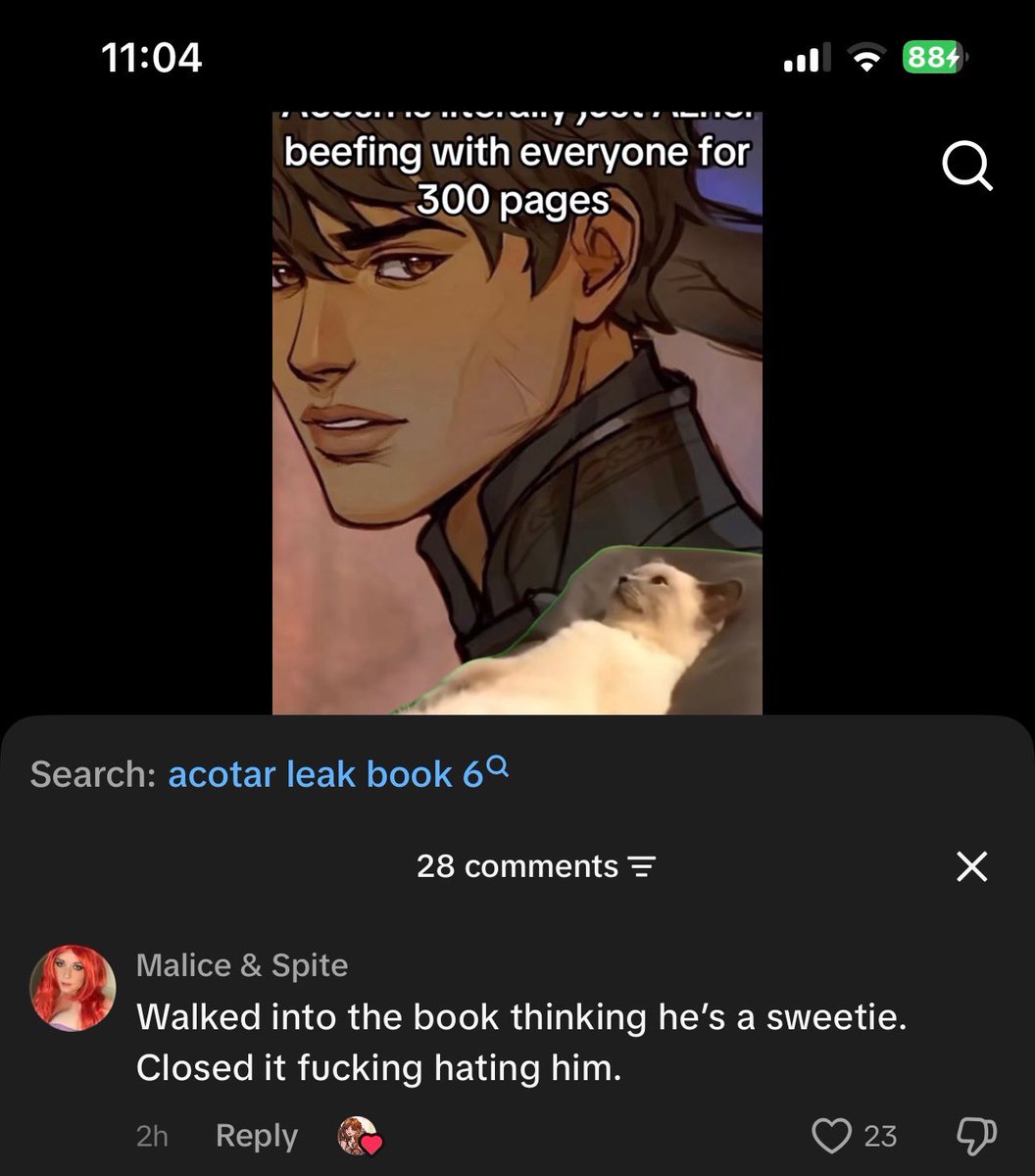 aelinselain's tweet photo. Azriel is basically the Night Courts henchman and has torture pets but you thought he was going to be a sweetie? Did we read the same books? https://t.co/1NbJKI4fqk