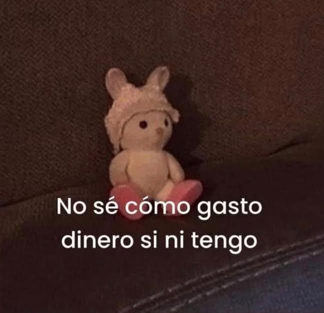 angelo_uf's tweet photo. https://t.co/TRMuqr97Yg