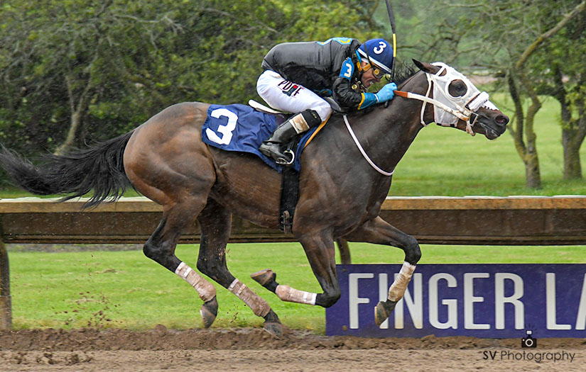 FlGaming's tweet photo. The early scratches are in. Track condition is currently fast. In race five take out the #7 Mister J T and in race six scratch the #5 Diptique and the #6 Classiwest. First post is 12:55 pm. 
Today's Equibase program is below. 
https://t.co/vst7b2Cx30 https://t.co/TcF5bLEEpr