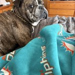 Photo by Rosemarie Lane 🇺🇸🏴‍☠️🏝🎣🐶 (@KeysMom1031)