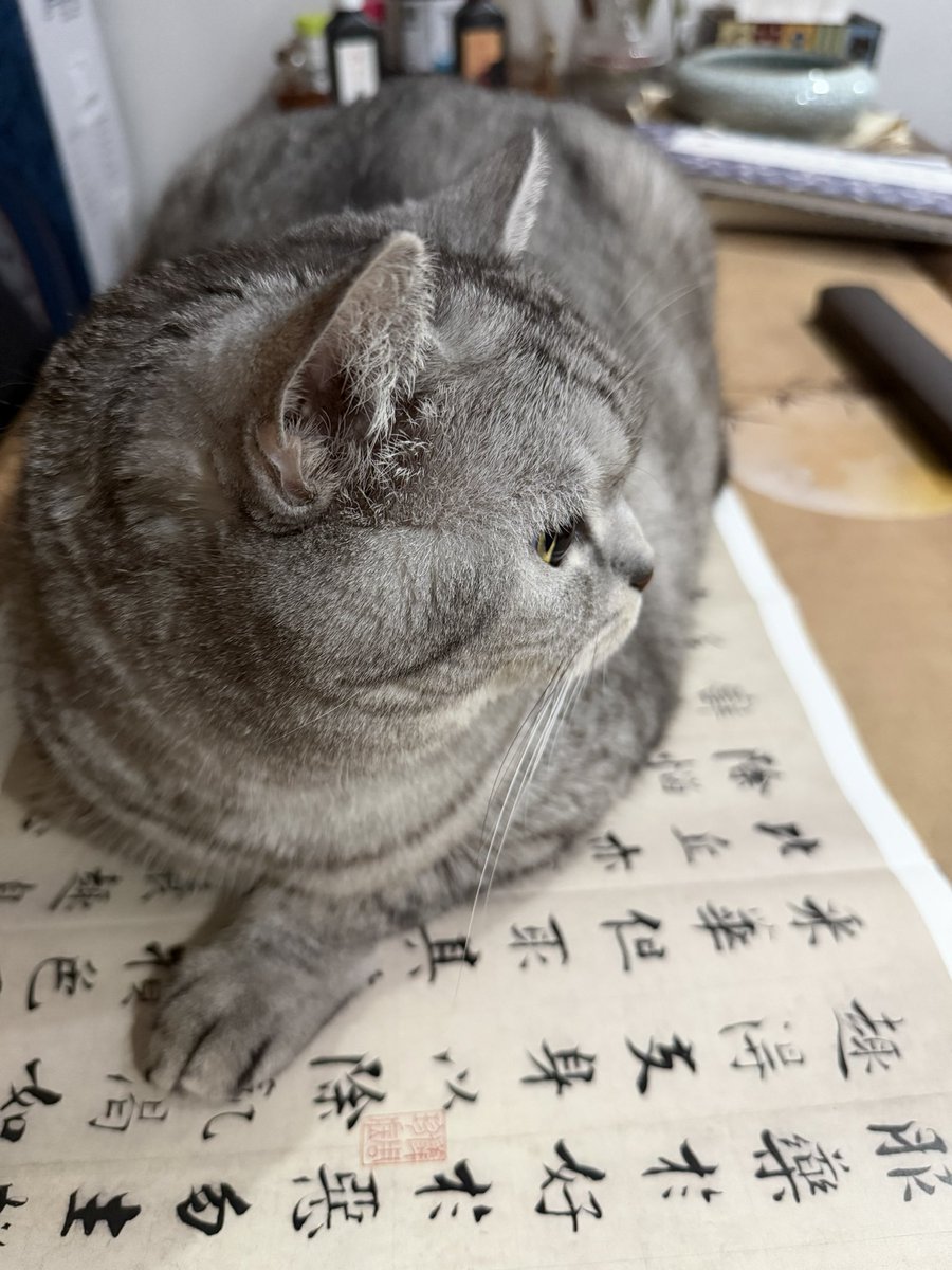 KaaaaNash's tweet photo. 手机连接世界，却把人撕成碎片。一天中与AI说的话比人都多。纸质文字有疗效——心随境转是常情，境随心转是修行。同样的境遇，翻纸质书，就是不一样的心境。 https://t.co/oK55akJ0WQ