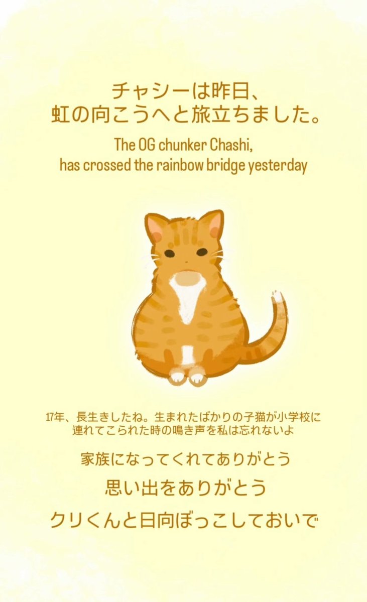 Nagarnia_art's tweet photo. 🐈🌈 https://t.co/92zIiK6H9m