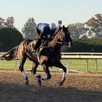 Photo by Bobby At The Spa | Horse Racing (@BobbyAtTheSpa)