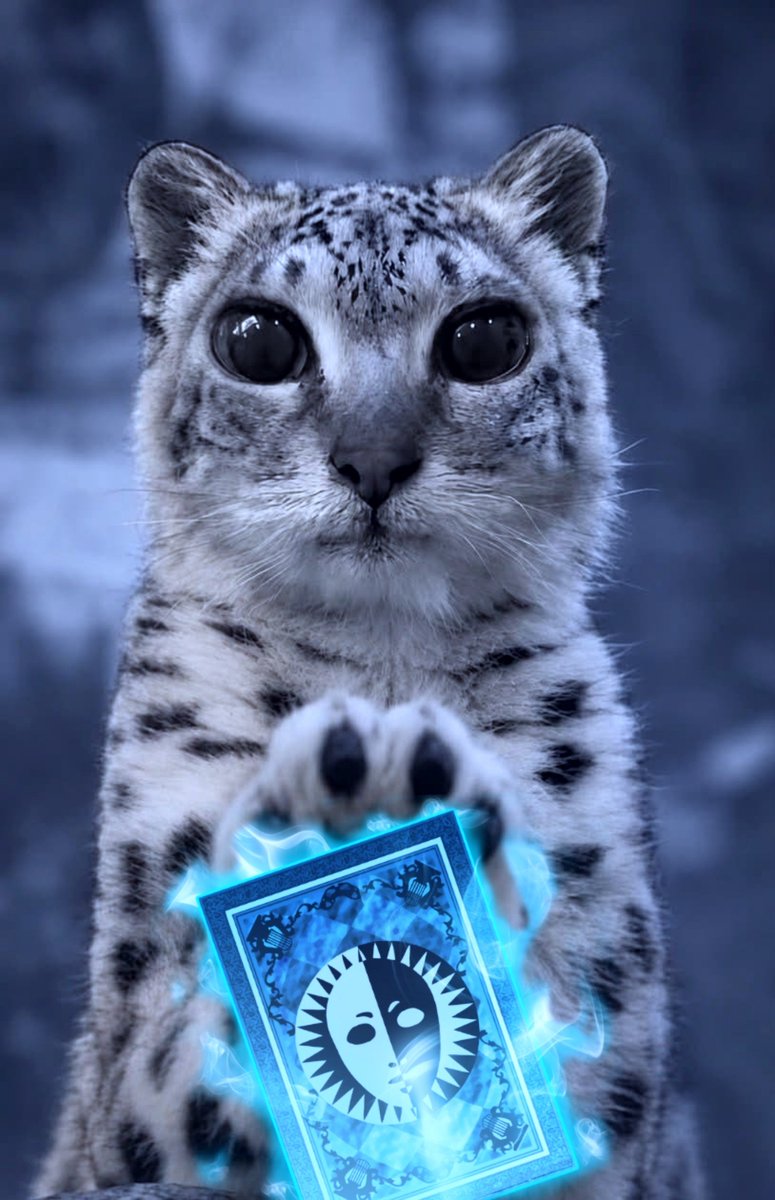 Kanataent's tweet photo. *paws at you* Thou hast established a new bond https://t.co/DUU3kMOBUf