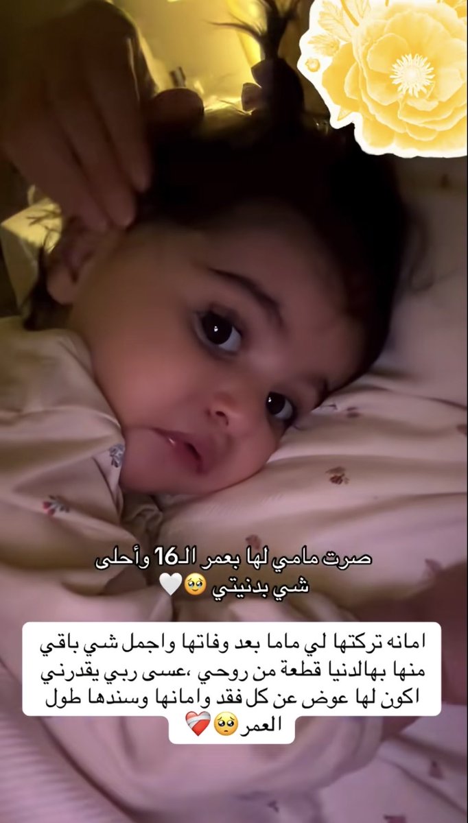 tot_9il's tweet photo. بعض الجيران رزق والله https://t.co/uMC2hJD84A
