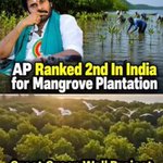 Photo by Pawanism Network (@PawanismNetwork)