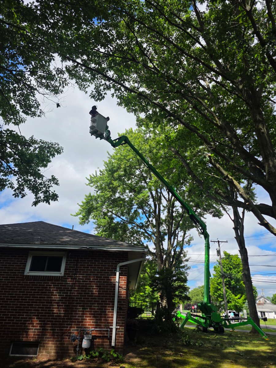 kdtreesyracuse's tweet photo. โ๏ธ Good Morning from KD Tree Service! ๐ณ Our crew is on-site and ready to get the job done with care and precision. ๐ช
๐ Call 315-902-1222 for a FREE estimate!
#KDTreeService #Syracuse #TreeCare #TreeService https://t.co/EbE4eR3ma1