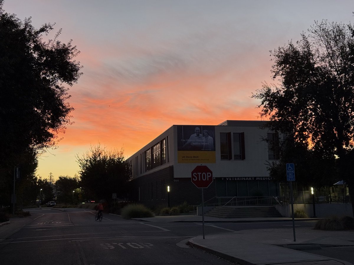 RogersLabUCD's tweet photo. Gorgeous sunrise this morning @ucdavisvetmed! https://t.co/lcvxcgjs5V